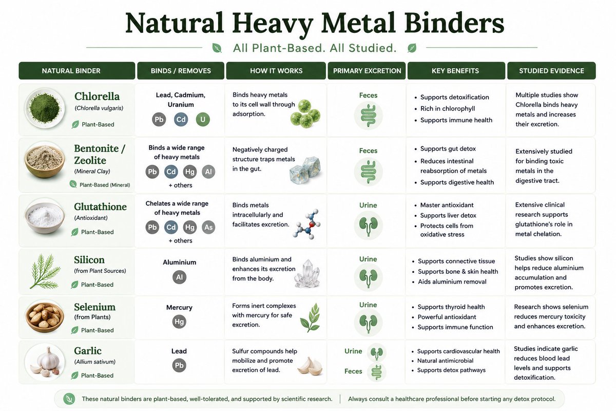 Natural heavy metal binders: Chlorella lead, cadmium, uranium Bentonite/zeolite binds in the gut Glutathione chelates via urine Silicon removes aluminium Selenium removes mercury Garlic reduces blood Natural heavy metal binders: Chlorella lead, cadmium, uranium Bentonite/zeolite binds in the gut Glutathione chelates via urine Silicon removes aluminium Selenium removes mercury Garlic reduces blood