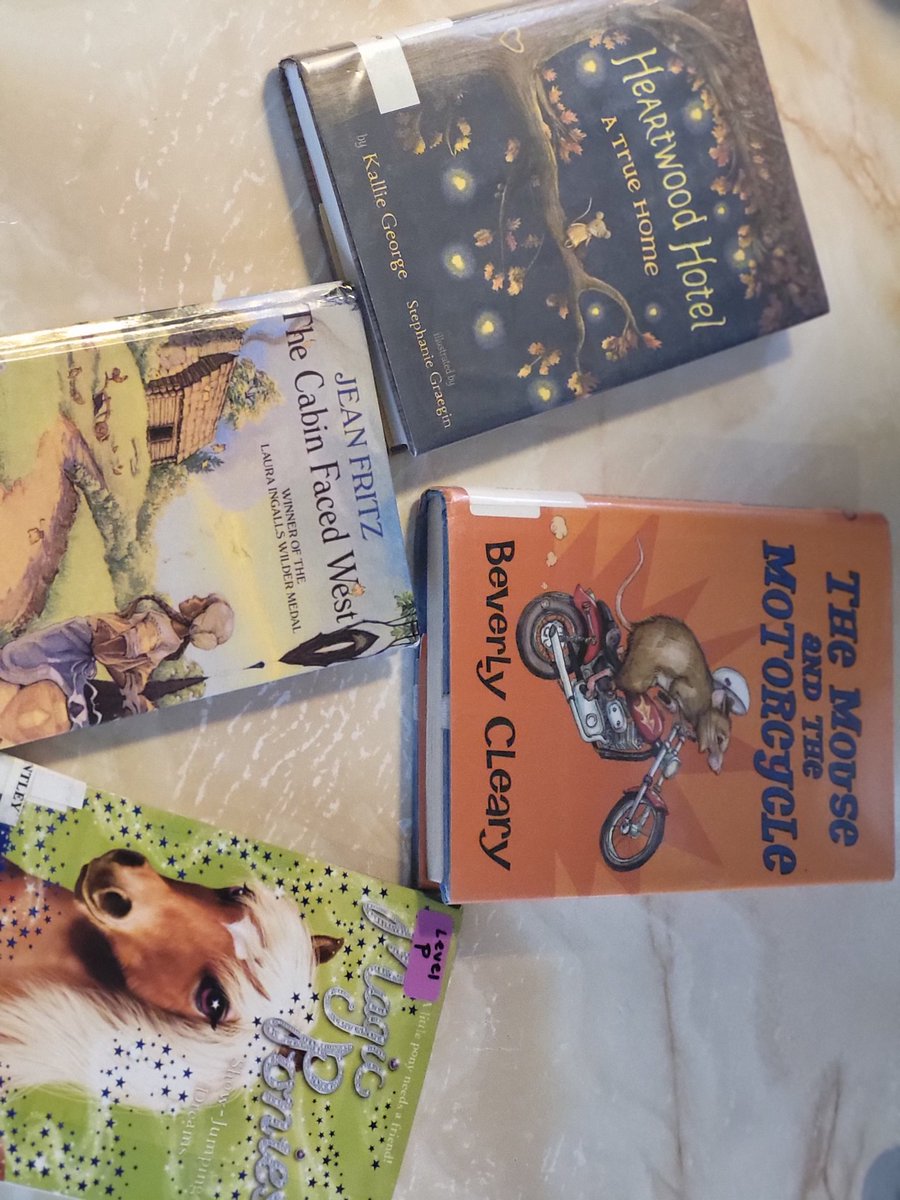 Homeschool parents &amp; lit teachers please weigh in. I have an ADHD  struggling to read 3rd grader &amp; was advised more read aloud to get her more interested to learn. I dont expect her to be a book worm like me,  but hopeful. What do yall think of these for that? More suggestions?