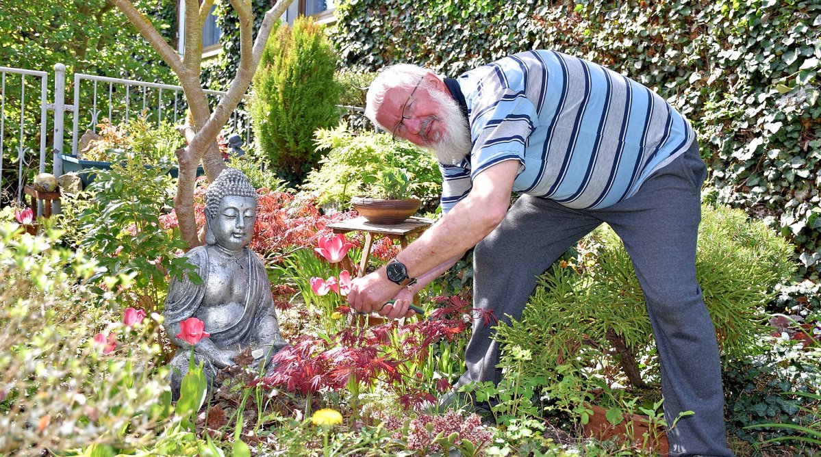 Garteninspiration im Burgenlandkreis: Vom Rübenacker zum Bonsai-Paradies: 100 Minibäume begeistern Besucher in Nonnewitz mz.de/lokal/zeitz/vo…