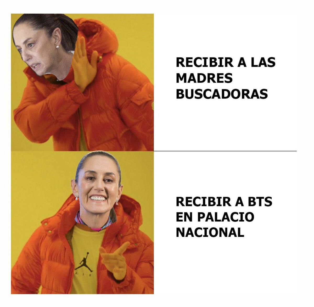 PAN Ciudad de México tweet media
