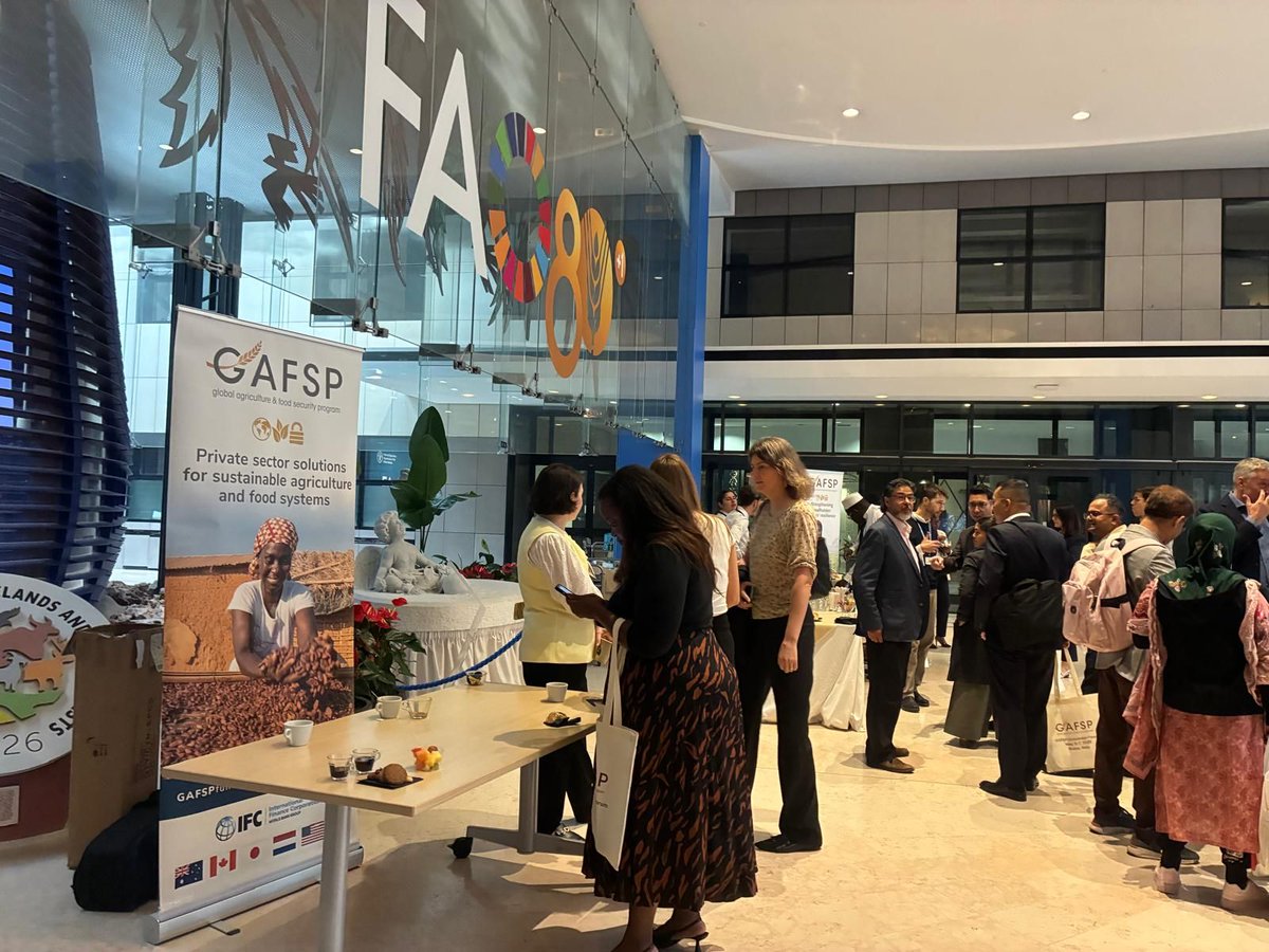 GAFSPfund's tweet photo. The GAFSP Knowledge Forum is well underway, hosted by our partners at @FAO 🌱 Nearly 100 practitioners from 40+ projects across 4 continents have gathered in Rome to share practical solutions to advance food security and strengthen smallholder farmer livelihoods worldwide. https://t.co/fxoM23SZpx