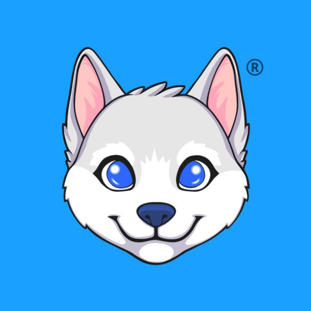FORGE tweet media