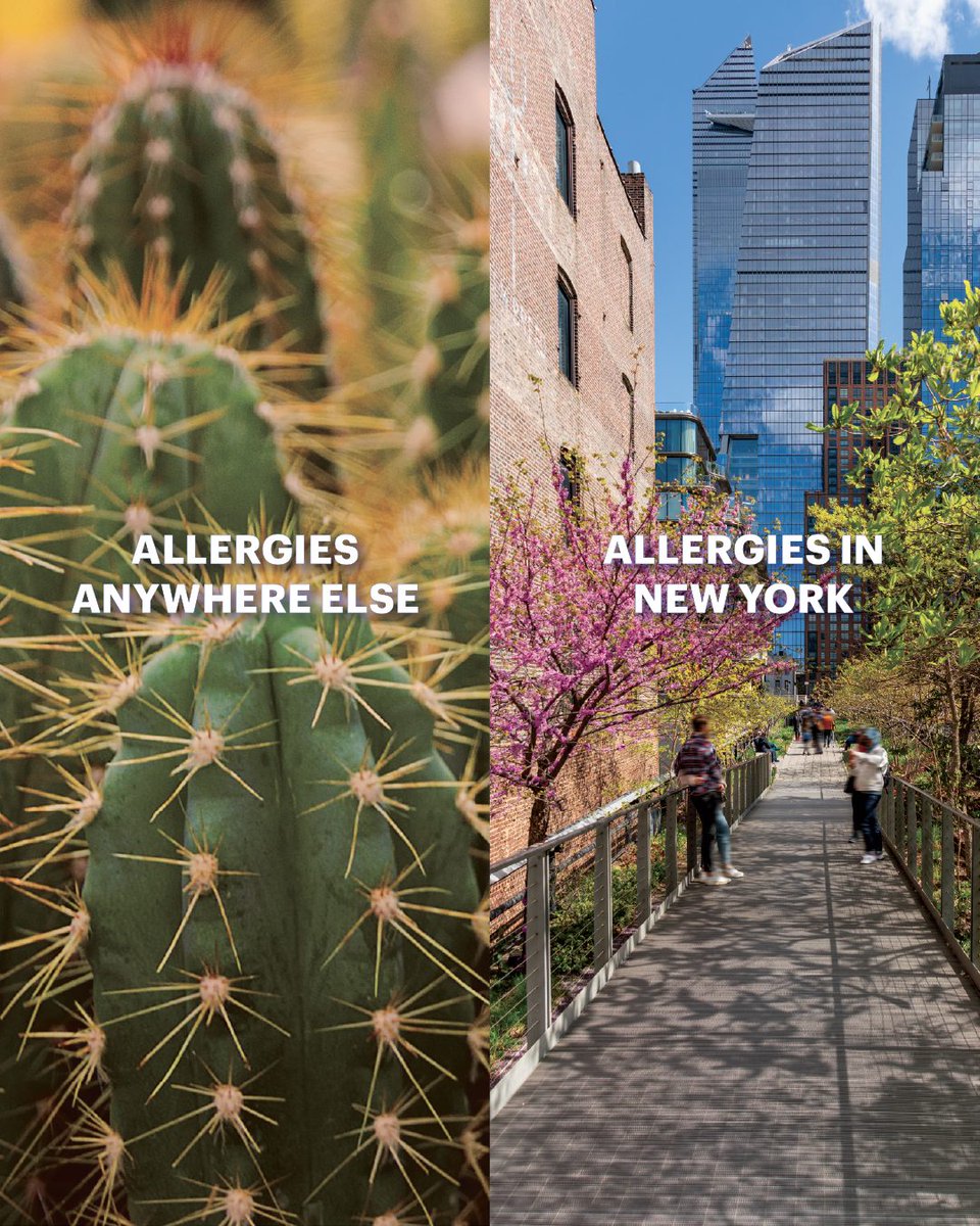New York Lottery (@newyorklottery) / Posts / X