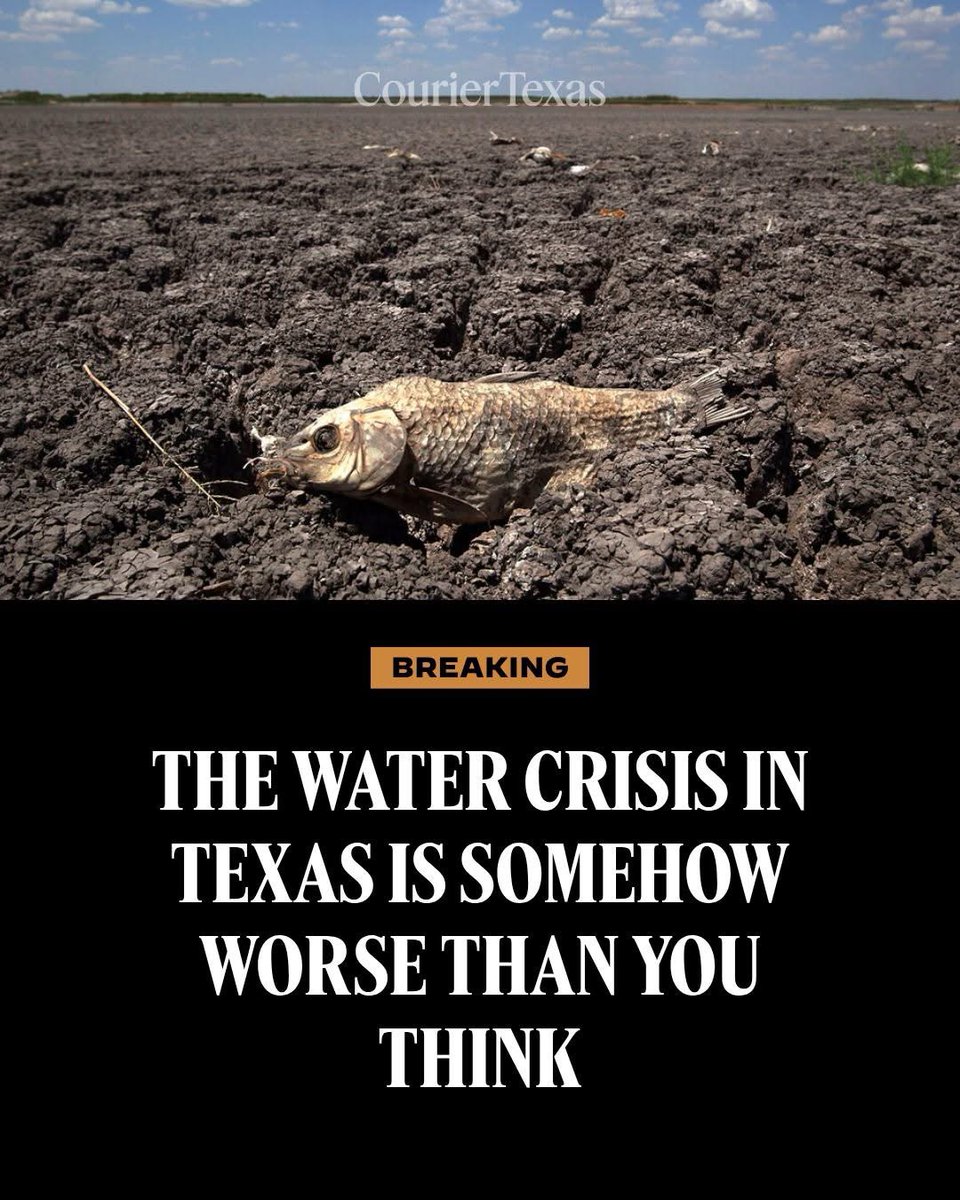 Clayton Tucker tweet media