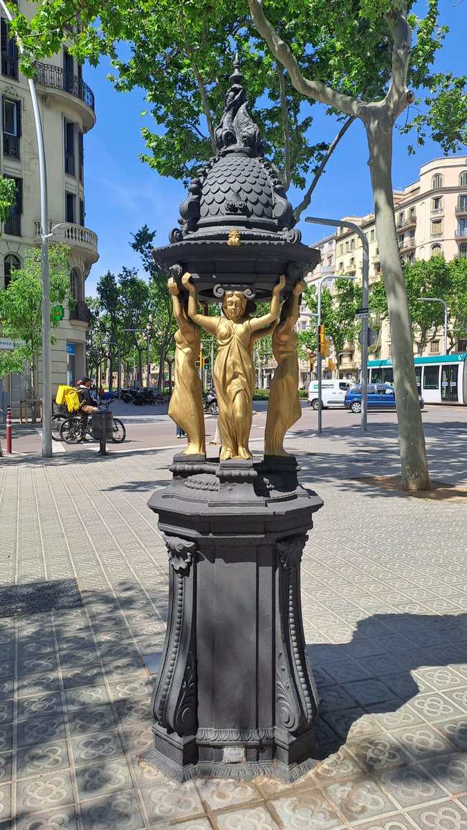 Històries de Barcelona tweet media