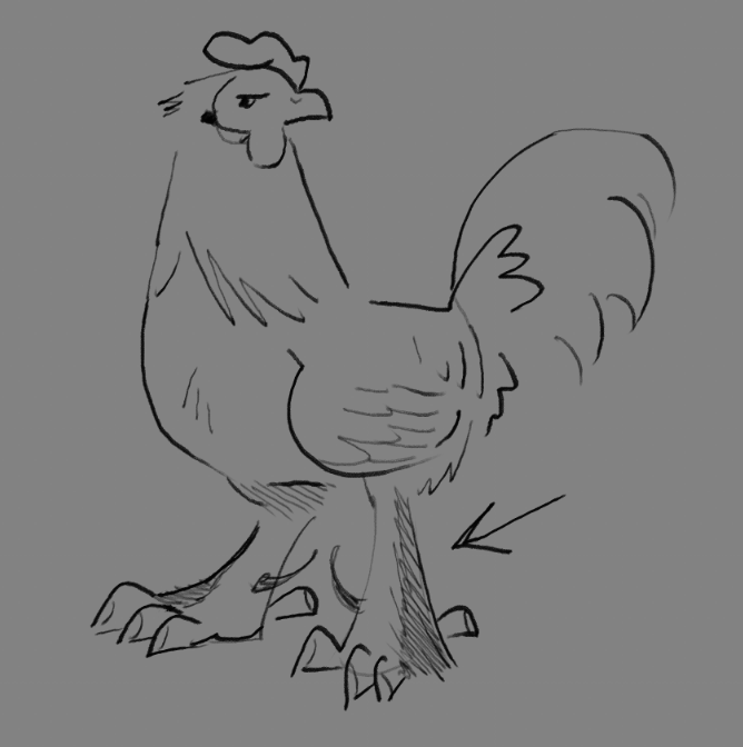 i like how chickens with a small amount of feathers on their legs look like theyre wearing little boots