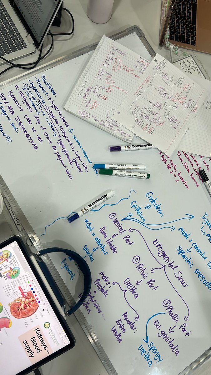 jujukhayat's tweet photo. Another day, another library study sessionnn💫📚🩵 https://t.co/CXjNLVYPHA