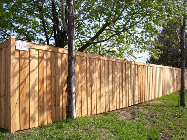 ParamntFenceIL's tweet photo. Dreaming of a new fence? Paramount Fence makes it easy with flexible financing options! 

Upgrade your home now and pay over time with plans that fit your budget. 

Contact us today to learn more and get started! 🏡✨ 

https://t.co/DiyS1nXcQY https://t.co/ULZUVukZCz