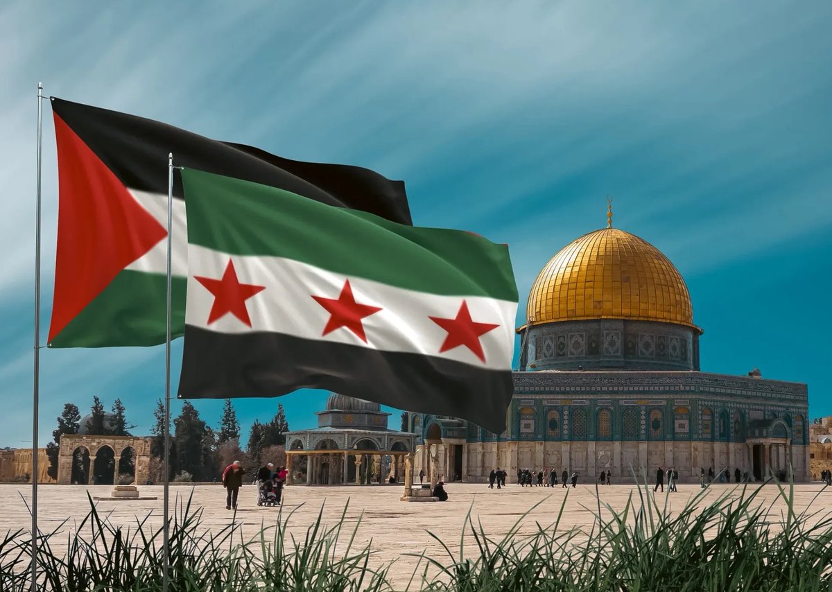 Abd al-Wahhāb ابن البقاع tweet media