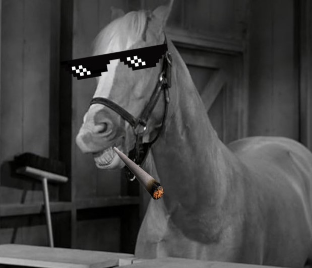 Mr Edsel™️ tweet media