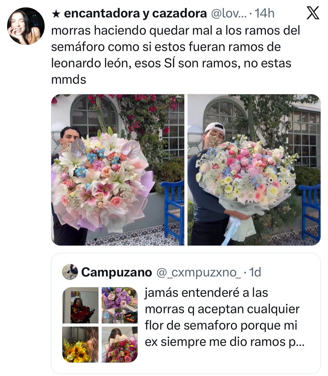 Renata Villarreal tweet media