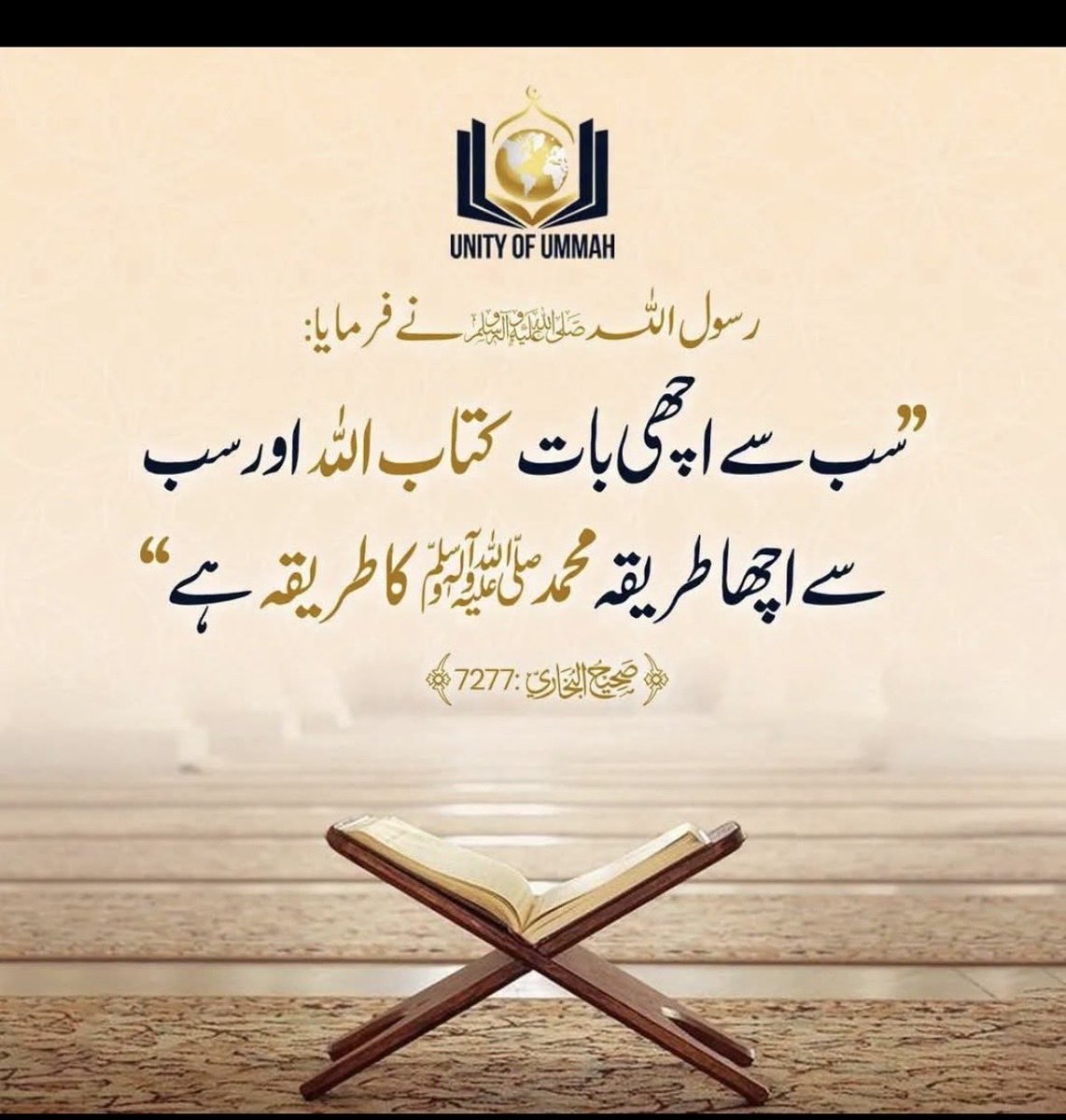 asma sheikh (@asmashe33249556) on Twitter photo 