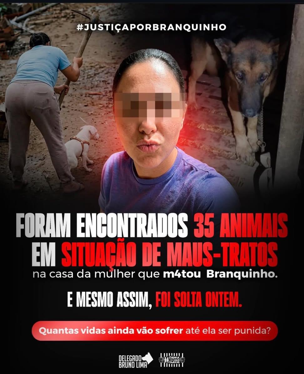 Enfermeiro do Orelha tweet media