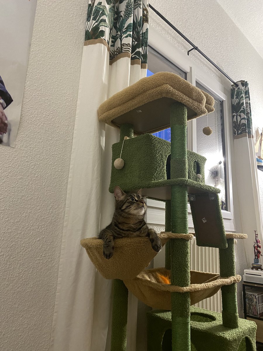 loki loco tweet media