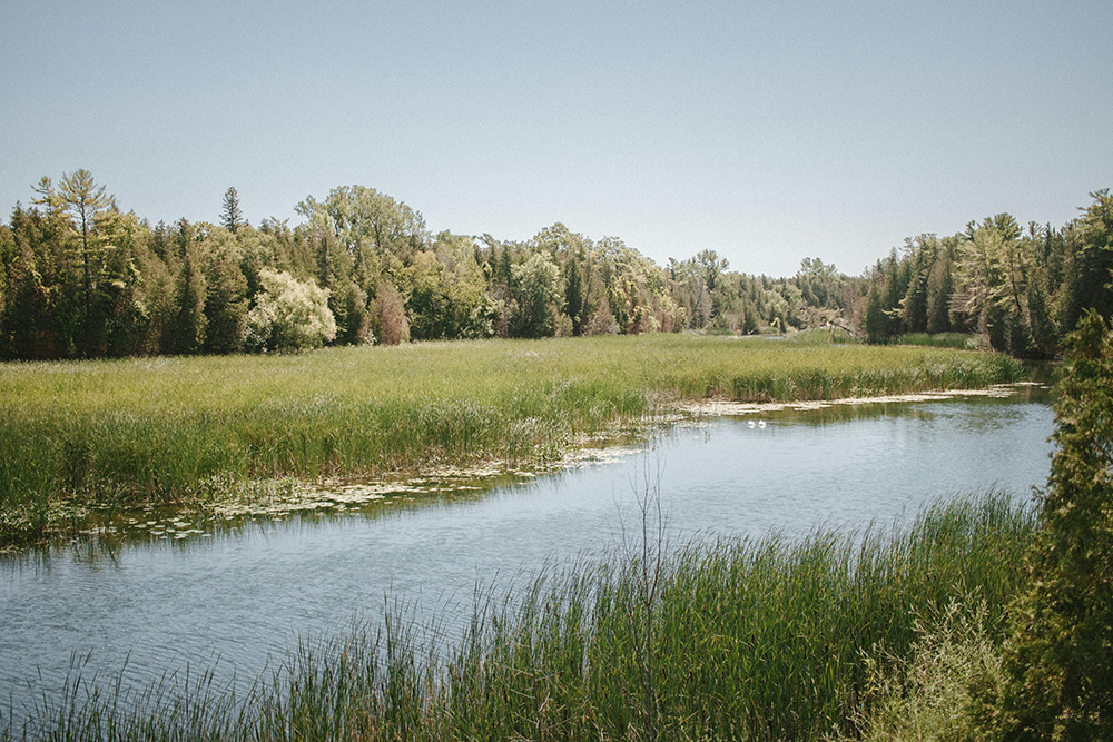 Water Canada tweet media