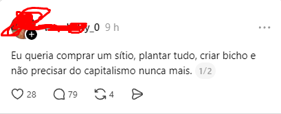 cardoso tweet media
