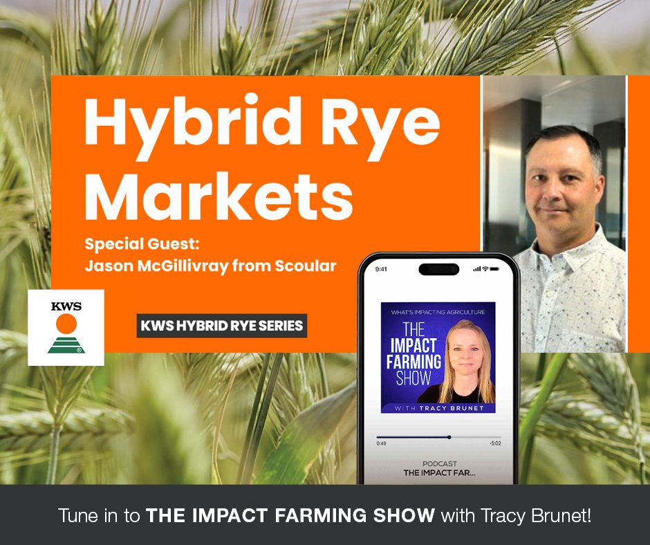 kwscanada's tweet photo. Have you tuned in to the second Episode of our Hybrid Rye Series with Farm Marketer, yet? 🎙️

Hear how rye markets are shaping up and how you can position your crop for success. With insights from Scoular, you’ll better understand how buyers evaluate supply, quality, and demand—helping you make more informed marketing decisions.

Listen now: 👉https://t.co/jwJ8z31BBM