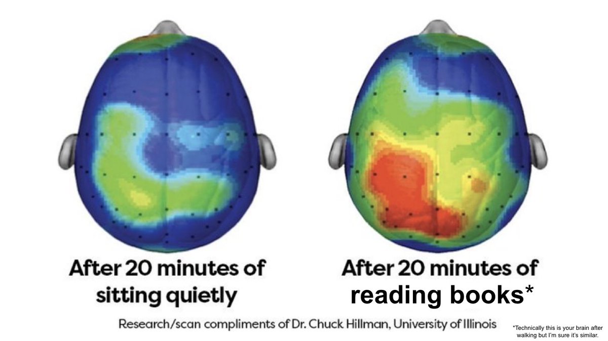 AlexAndBooks_'s tweet photo. This is your brain on books: https://t.co/YMjDC68RWd