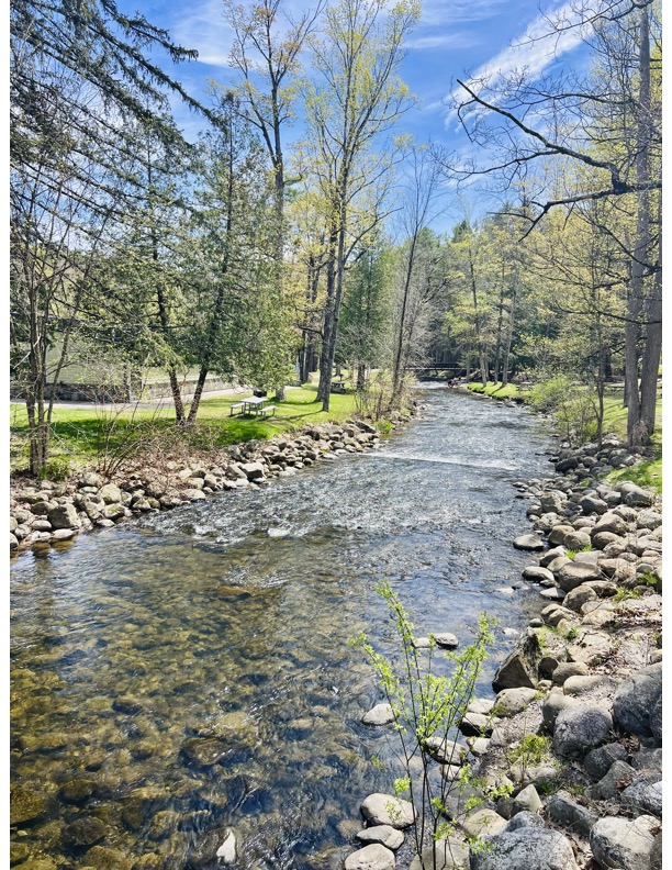 SoilTechGolf's tweet photo. Found ourselves in beautiful upstate NY last week. Gorgeous start to the golf season from the Capital Region up to the Adirondacks. #LakeGeorge #TopoftheWorldGolfResort #SaratogaLake #SaratogaLakeGolfClub https://t.co/W4slMb5lH0