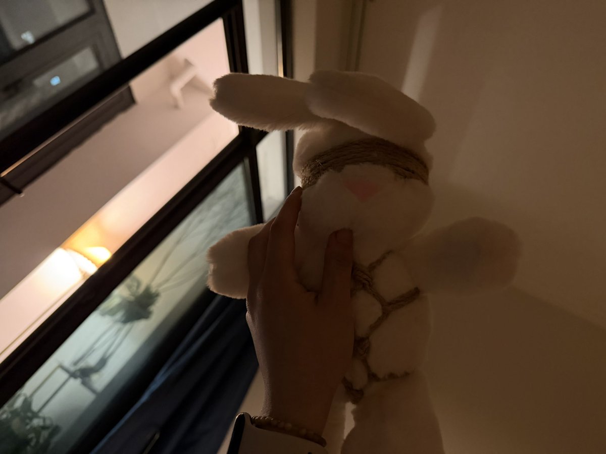 路边的安南 tweet media