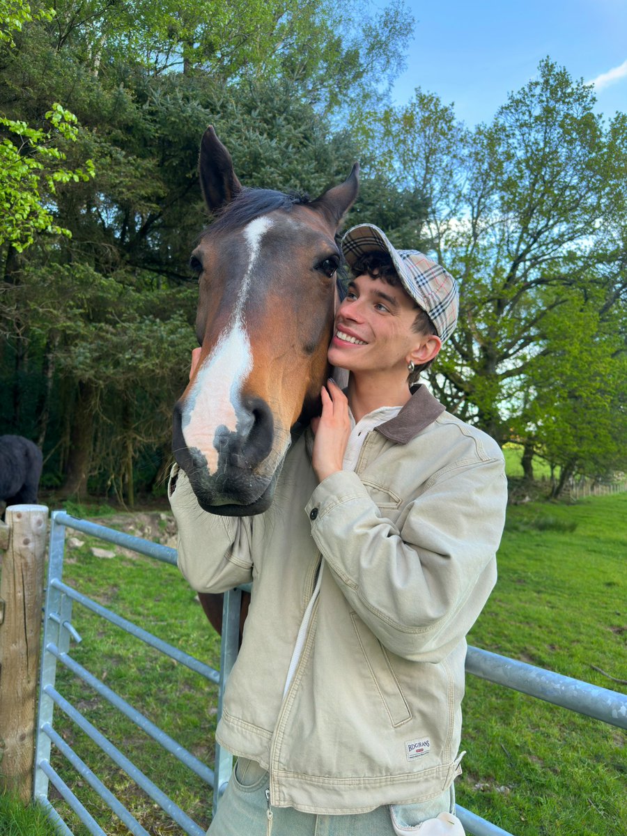 smintyd's tweet photo. fell in love with this gentle giant on my dog walk earlier https://t.co/tWOzy4zQVU