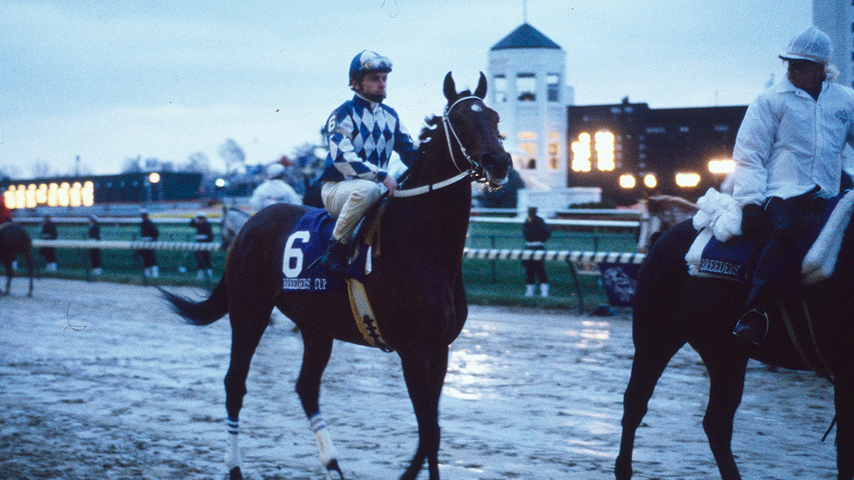 BreedersCup's tweet image. The only 4 to capture the #BreedersCup Classic and the Preakness. 🏆