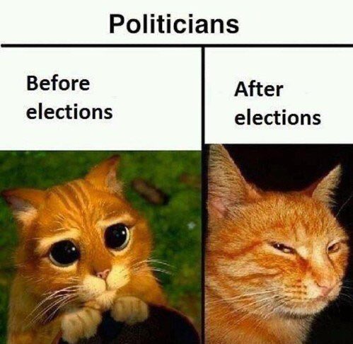Larry the Cat tweet media