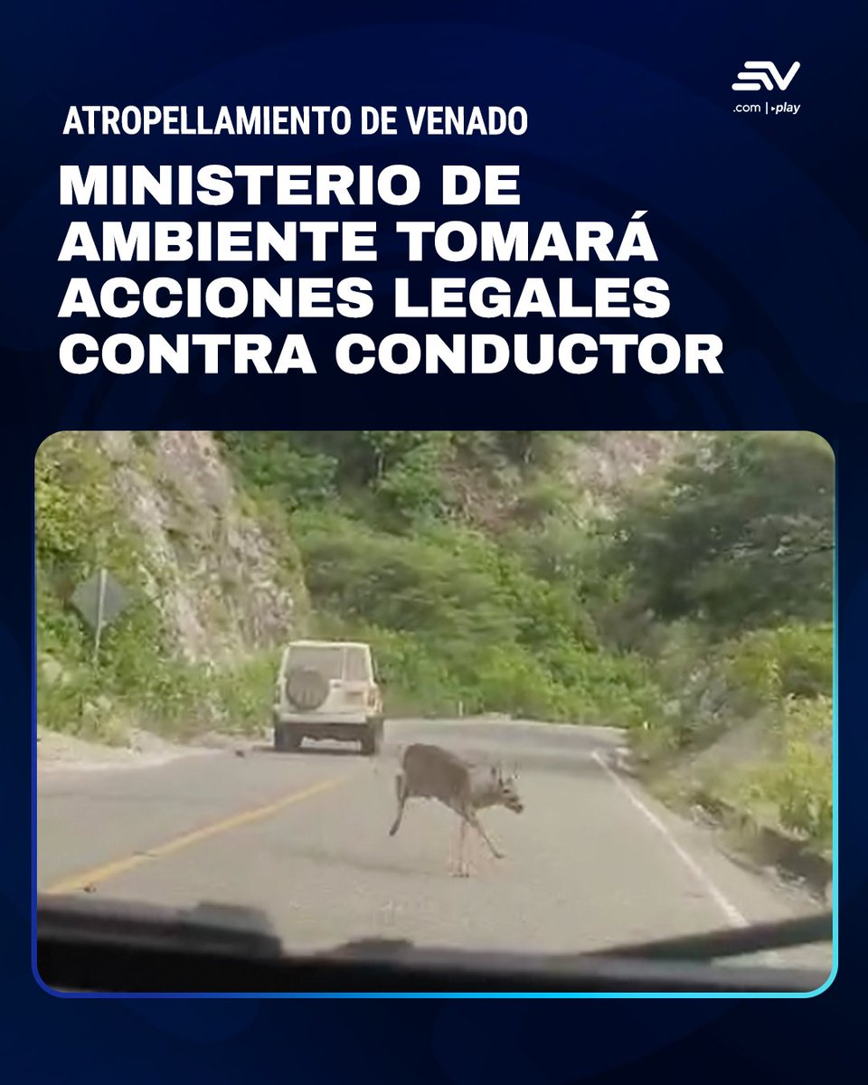 Ecuavisa Noticias tweet media