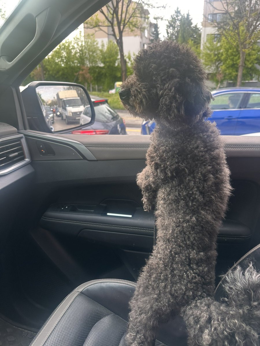likestocking's tweet photo. @FreyjaLodbrok Gece adı… 🥰 https://t.co/qHoOWQFBot