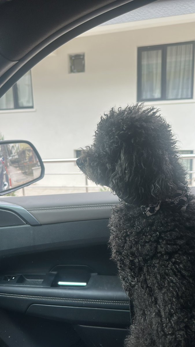 likestocking's tweet photo. @FreyjaLodbrok Gece adı… 🥰 https://t.co/qHoOWQFBot