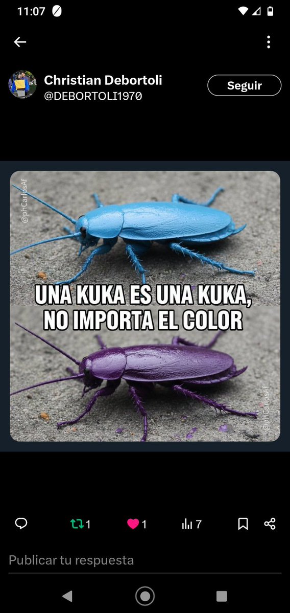 LalaLy tweet media