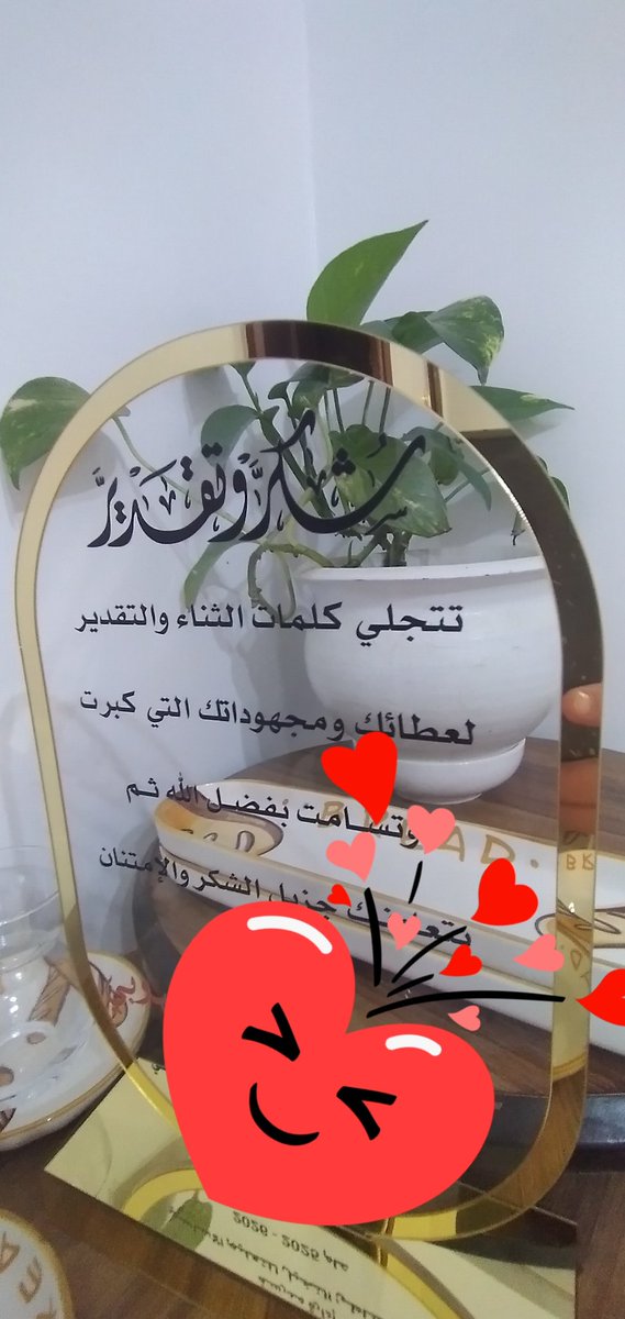نورا علي محمد tweet media