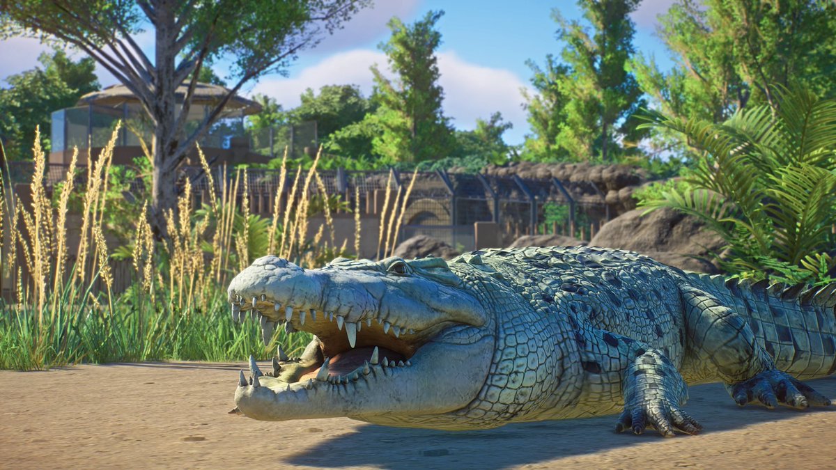 Planet Zoo tweet media