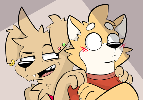 The Ferret Tube tweet media