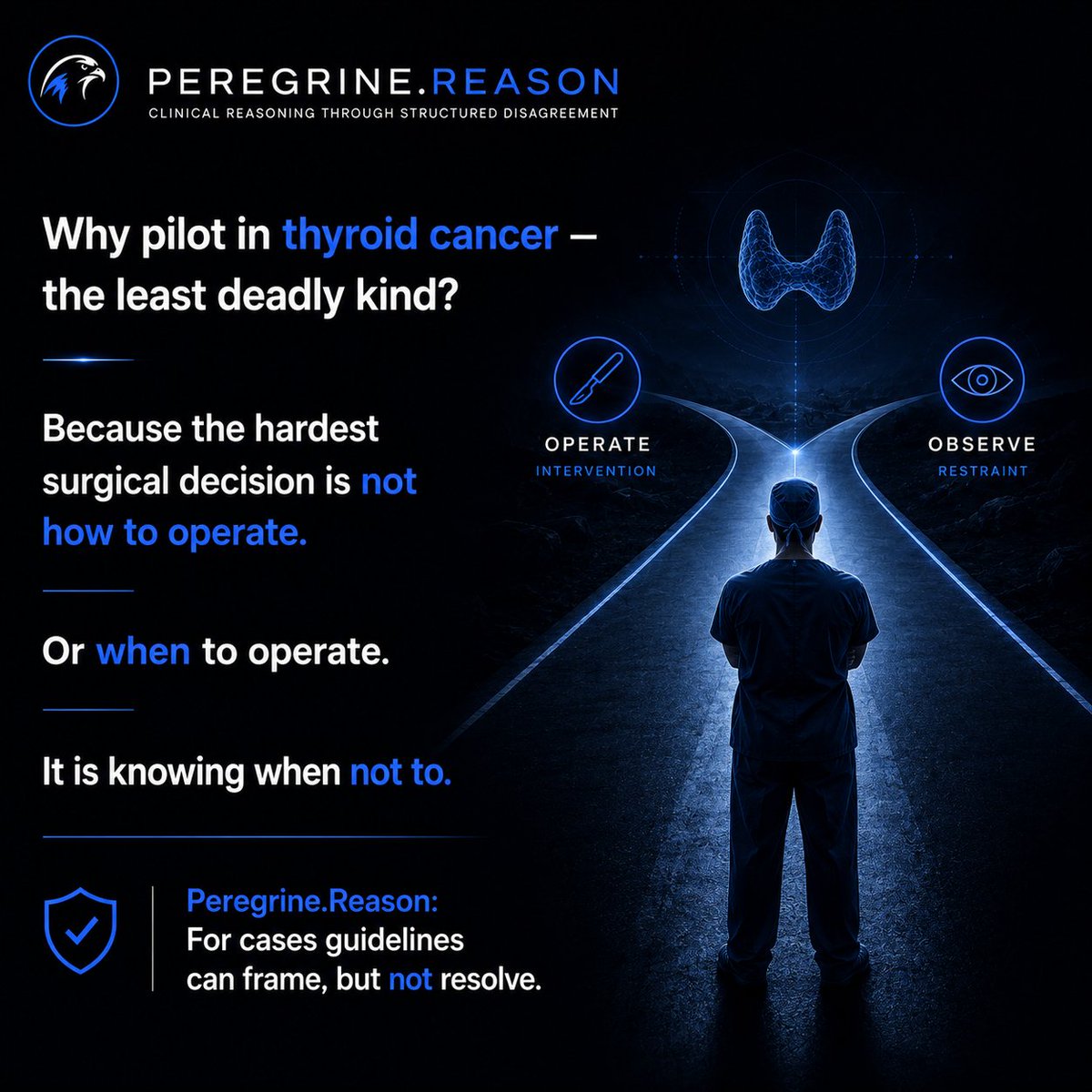 Peregrine.Reason tweet media