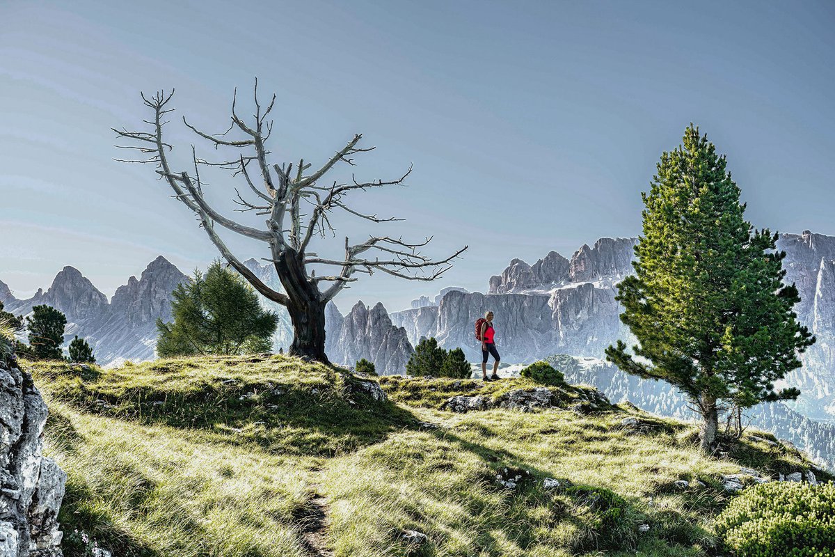 internet_italy's tweet photo. Residence Sovara
Val Gardena - Dolomiti - Italia
https://t.co/MwQLiKO9Wz
Residence Sovara
Gröden - Dolomiten - Italien 
Internet Service ® - Professional Web Design - Online Marketing Agency! https://t.co/jgRFwBKoNS