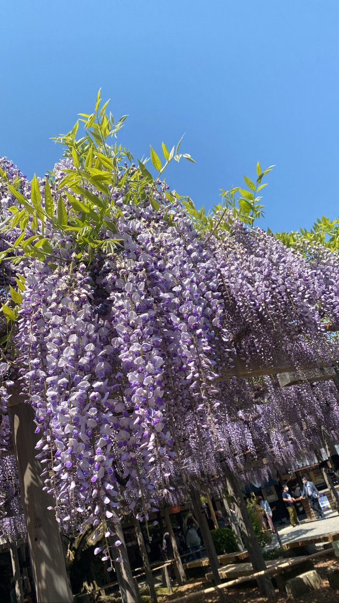 おはようございます
連休明けの木曜日です

今日も気をつけて
無理せず行きましょう

穏やかな一日になりますように