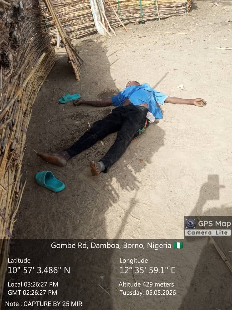 A. Ayofe tweet media