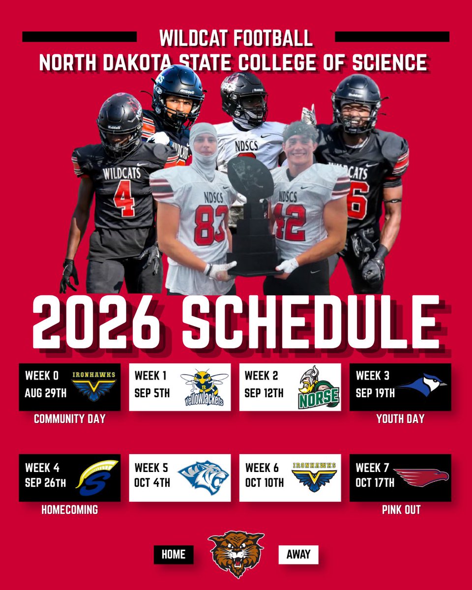 NDSCSFB tweet media