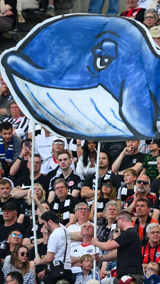 Mark98754282's tweet photo. @HQuestion2 @mat1_u As a german I am hereby qualified to tell you about Timmy the whale.

Timmy is a majestic humpback whale who lost his family, because he didn't hear their song for a long, long time.

We want him alive, singing his song and free, because we see a little bit of ourselves in him. https://t.co/GLPRpr35uZ