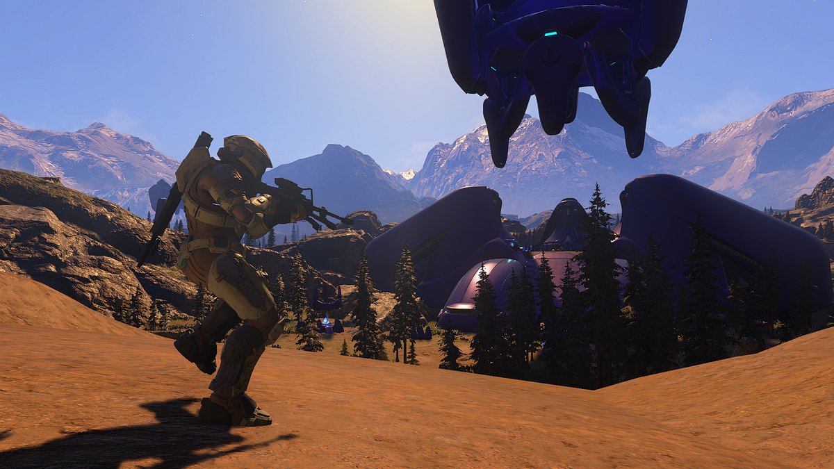 Halo tweet media