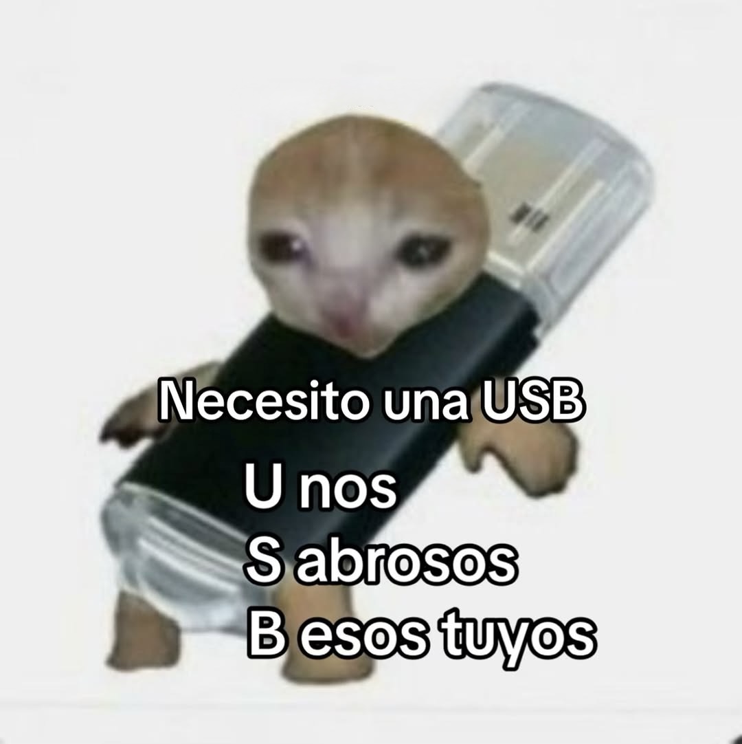 Mundo de Bigotes tweet media