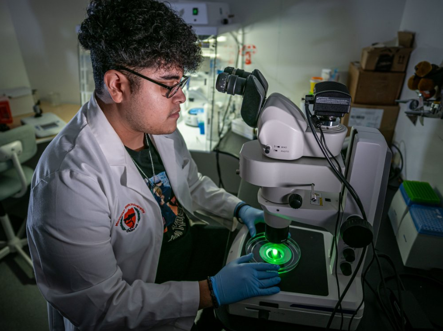 montclairstateu's tweet photo. #MontclairGrad 🎓 Spotlight: A promise that sparked a purpose - Melvin Rodriguez

Guided by his grandmother’s memory, Melvin is studying melanoma in zebrafish to help shape the future of medicine. 🔬

Explore his journey: ➡️ https://t.co/5DyCpoC0rV https://t.co/9q1BUJ937k