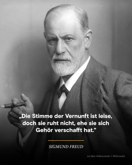 Johannes Normann (Xorzist, Politik-Humorist) tweet media