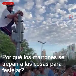 Voxed Posting tweet media