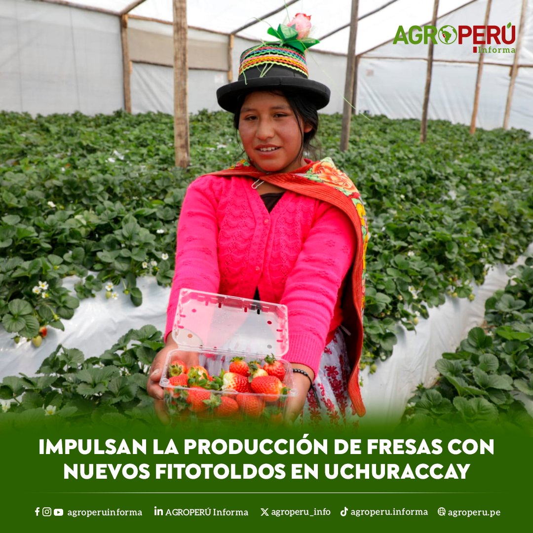 AGROPERÚ Informa tweet media