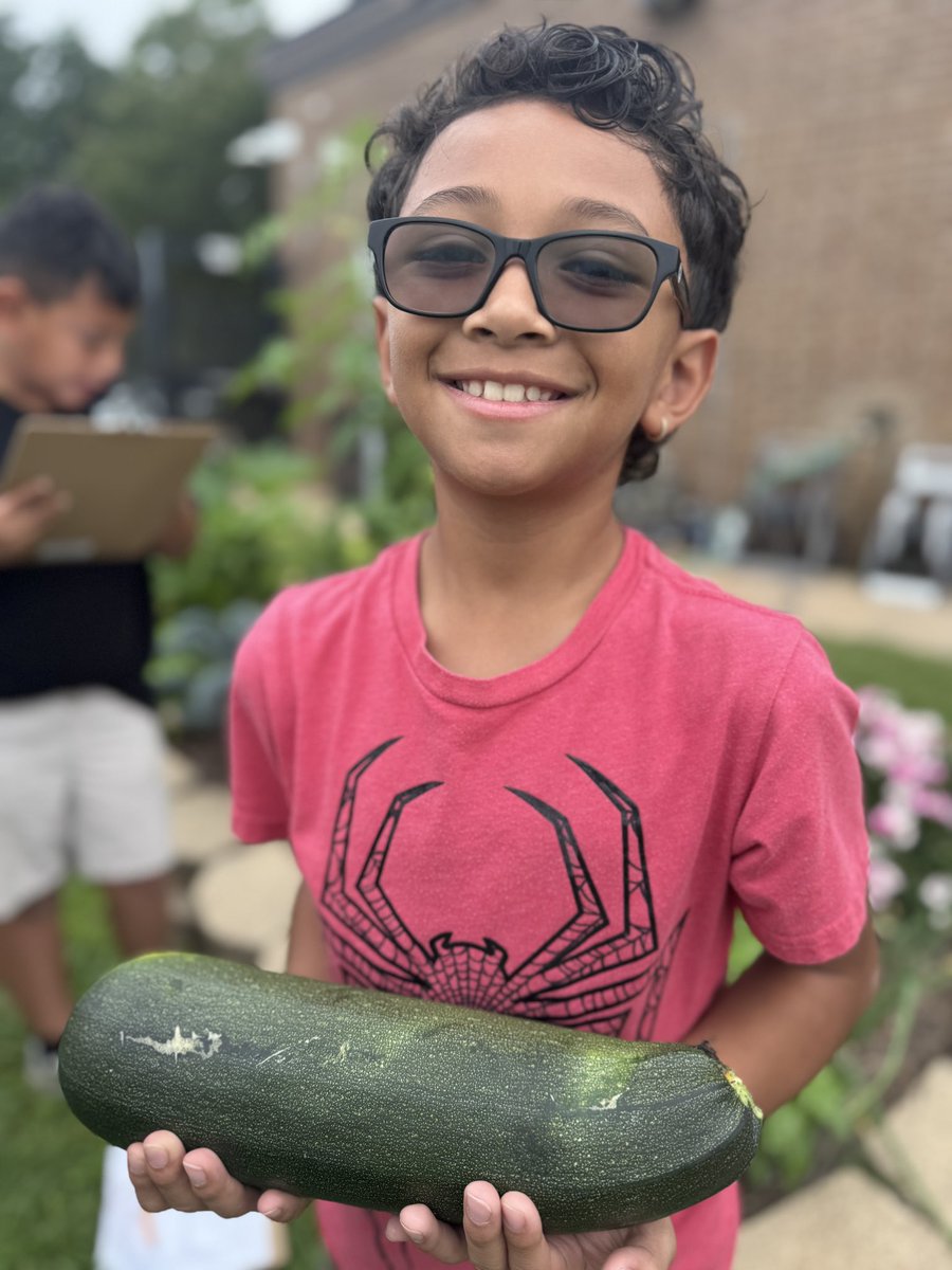 MsPaoliVegaRTGG's tweet photo. Can you believe this zucchini?! ๐ฅ๐คฉ I see zucchini bread in someoneโs future ๐ฎ๐ฑ Weโre having a great day here in the @fraziercfisd garden! @readygrowgarden @MPagano_24 @tracygibson99 @CyFairISD @PowerUpCafe @CFISDnoticias #gardenday #schoolgarden #elementaryscience https://t.co/cf3tDMhQ4P
