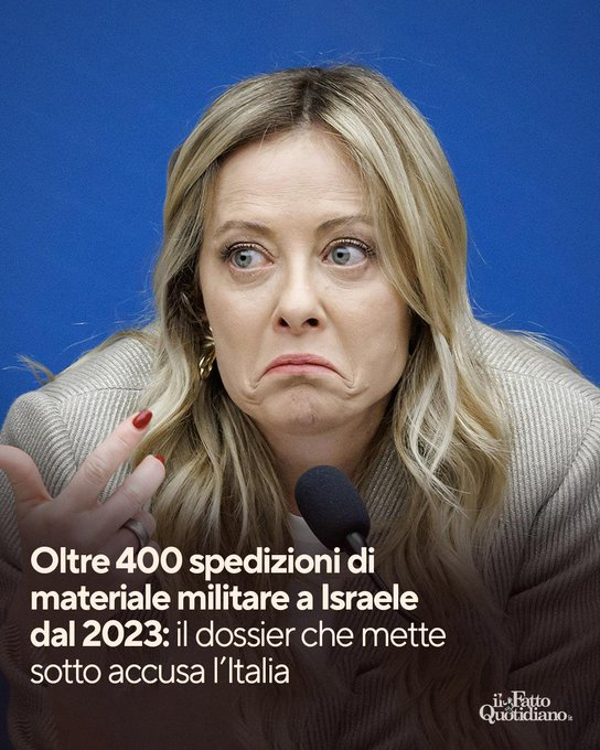 SereBellardinelli tweet media