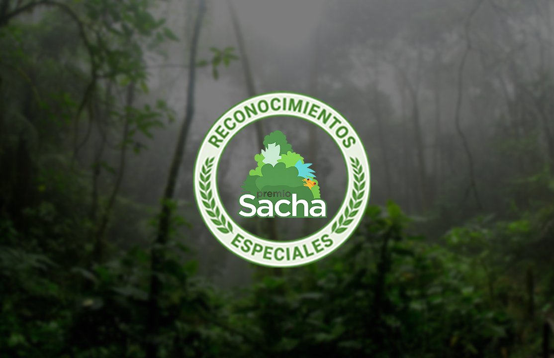 PremioSacha's tweet photo. 🌱 En la comunidad Bribri, los árboles caminan.

“Mis árboles que caminan”, de la Asociación Se’ Yämípä en Panamá, restaura bosques y protege fuentes de agua mediante liderazgo femenino y acción comunitaria. ✨

#Premiosacha #MisÁrbolesQueCaminan #MujeresDelBosque https://t.co/kH3aHPMT9Y