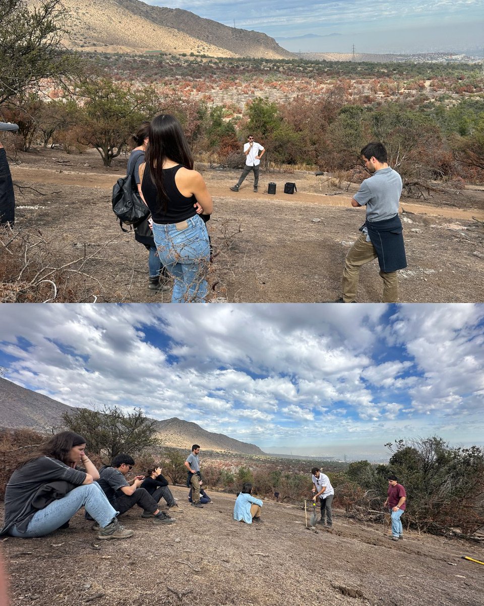 Fundación Reforestemos tweet media